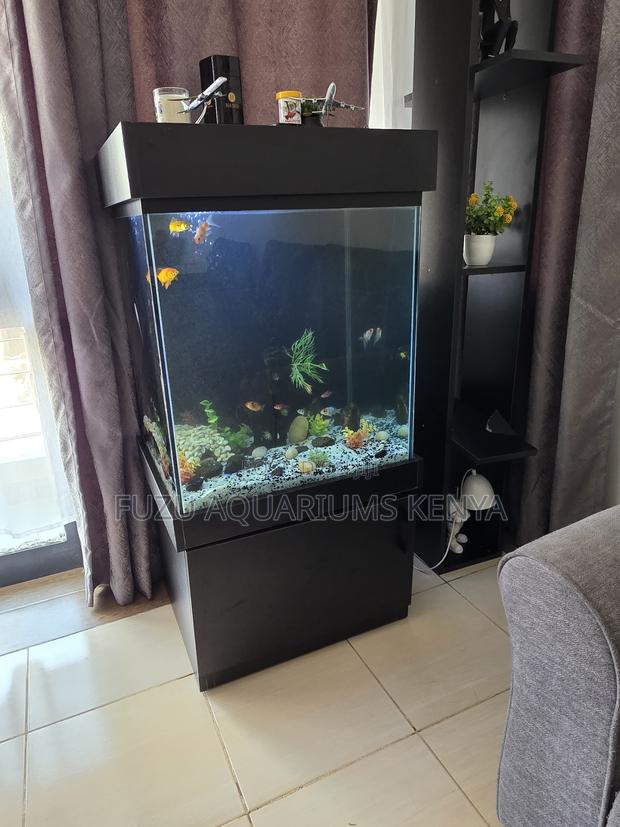 Aquarium Starter Pack – Lights, Plants Fish Food! - main view