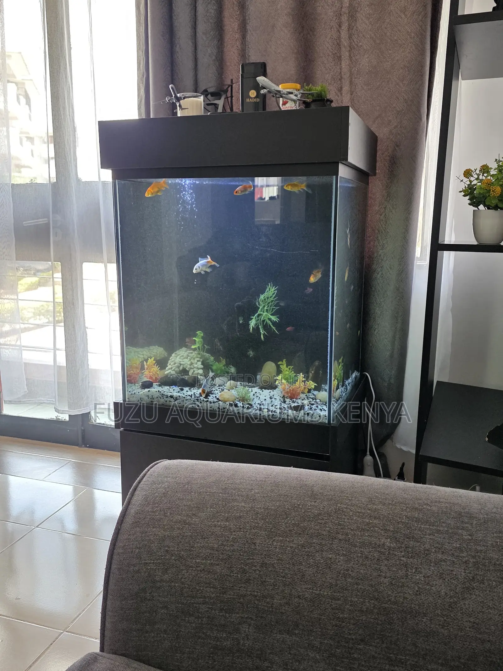 All-in-One Aquarium With Delivery Service