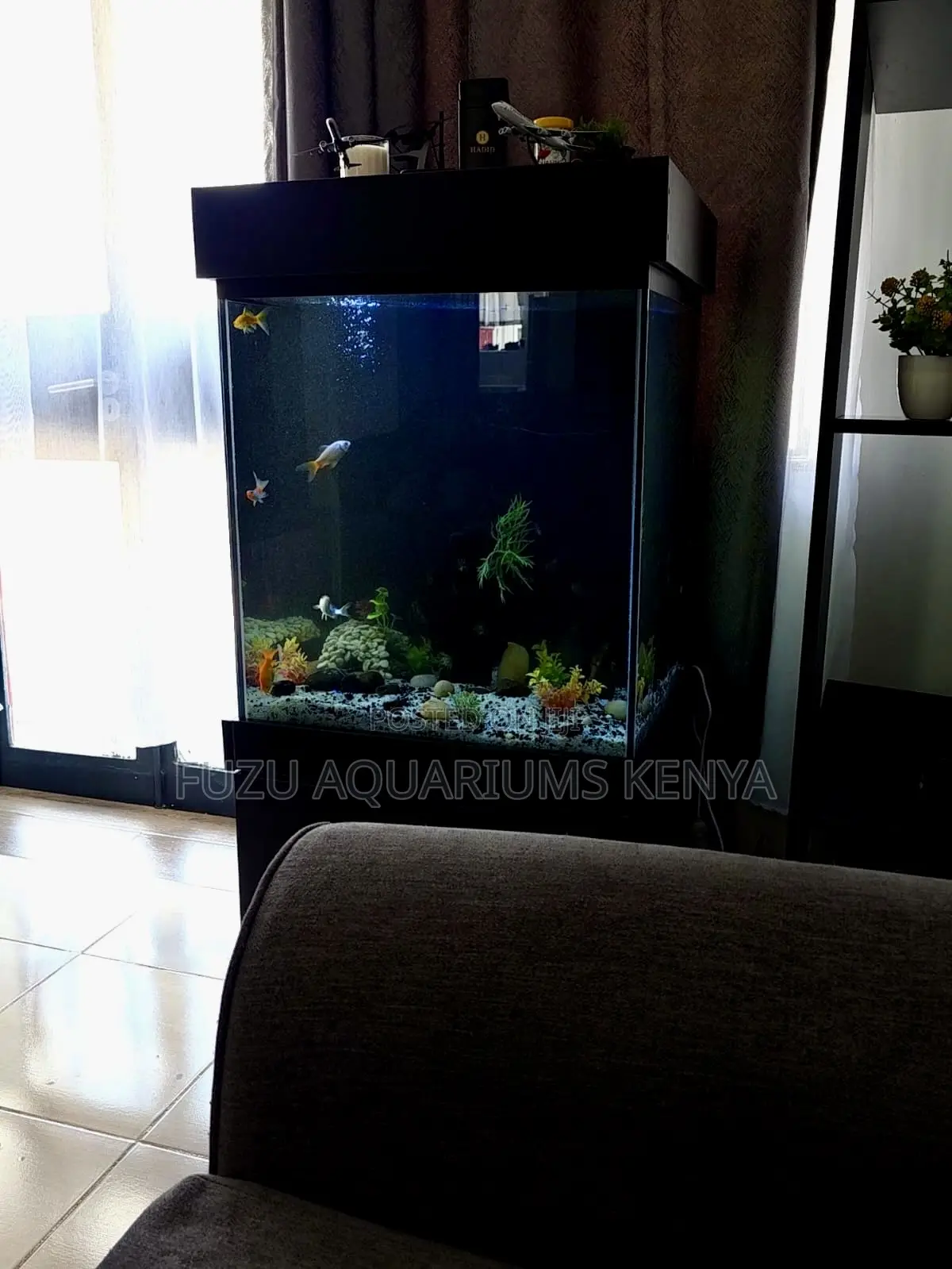 Aquarium for Sale – Comes Ready to Go