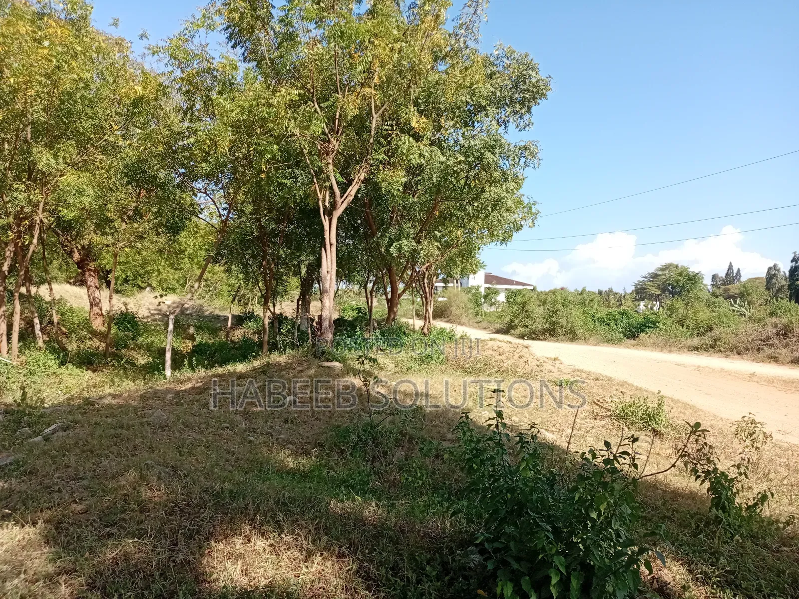 Shanzu Beach - 1/4 Acre Plots for Sale