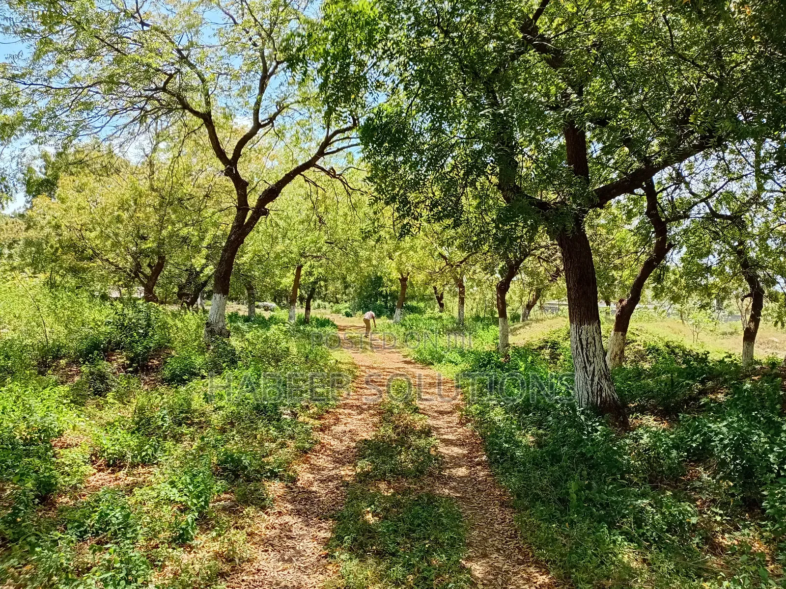 Shanzu Beach - 1/4 Acre Plots for Sale