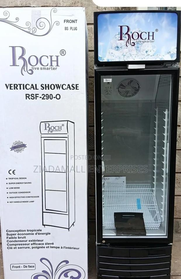 Chill in Style With the Roch RSF-290-O – 229l Display Fridge