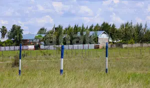 Affordable 50 by 100 Plots in Joska Near Bridgan/Ahadi School^Sk