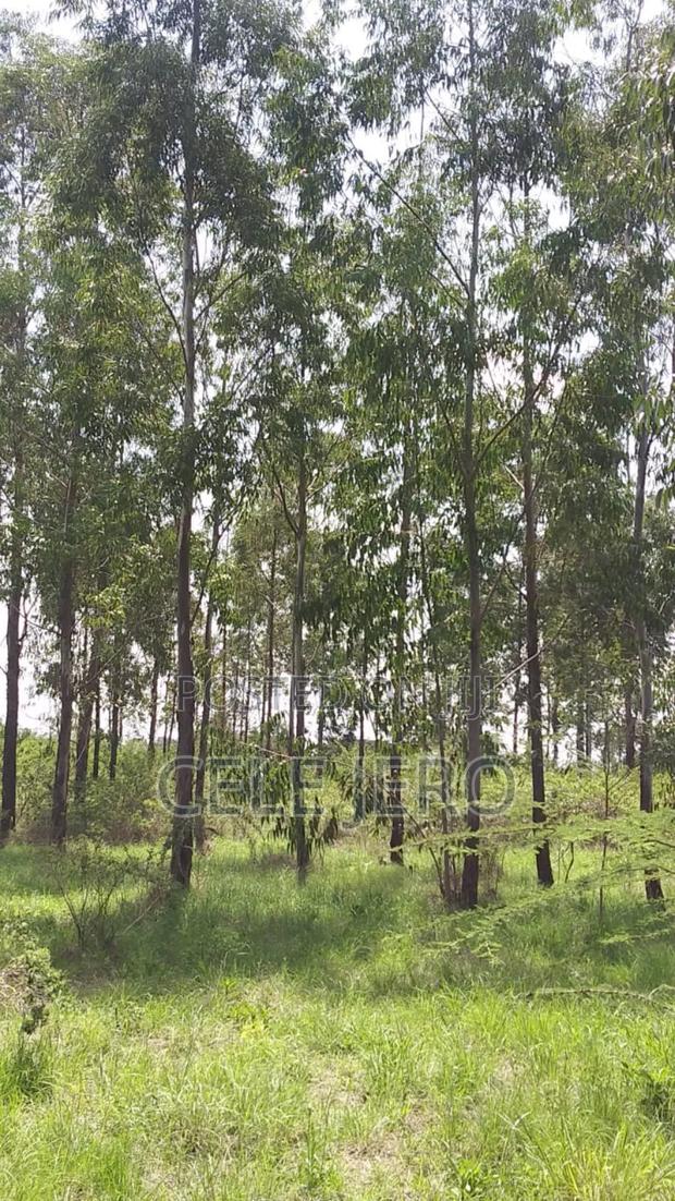 Prime Plot for Sale 50 by 100 Kabarak Area ,For Multipurpose Use . - main view