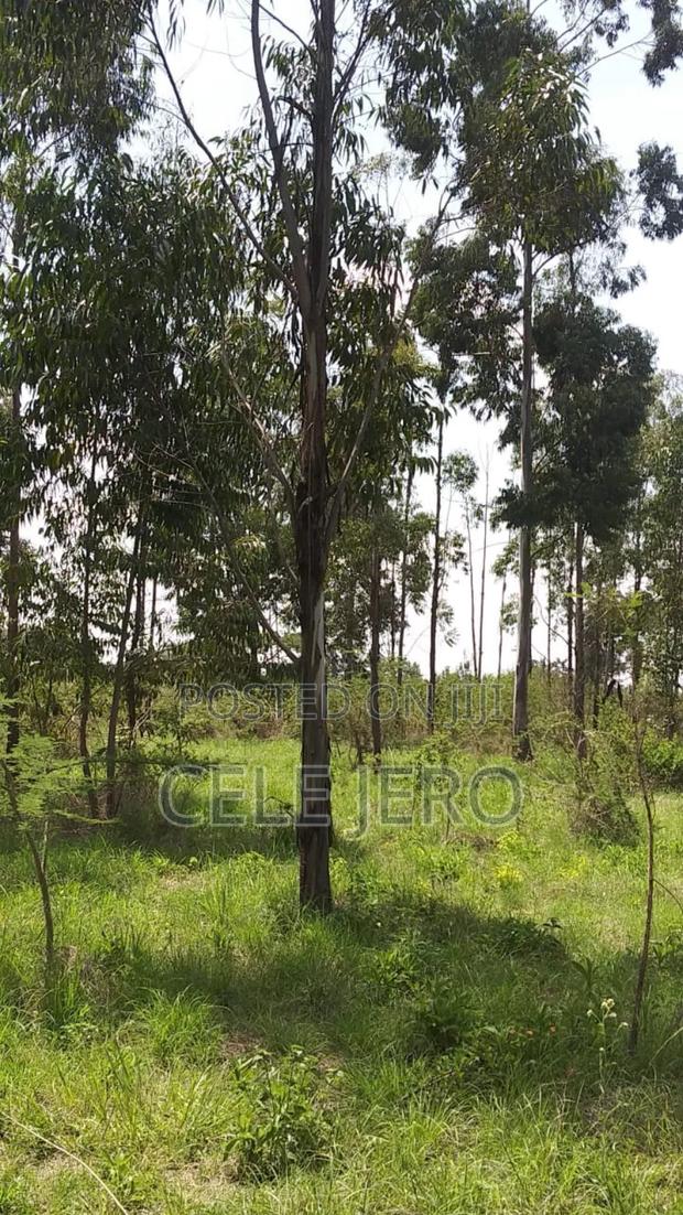 Prime Plot for Sale 50 by 100 Kabarak Area ,For Multipurpose Use . - thumbnail 2
