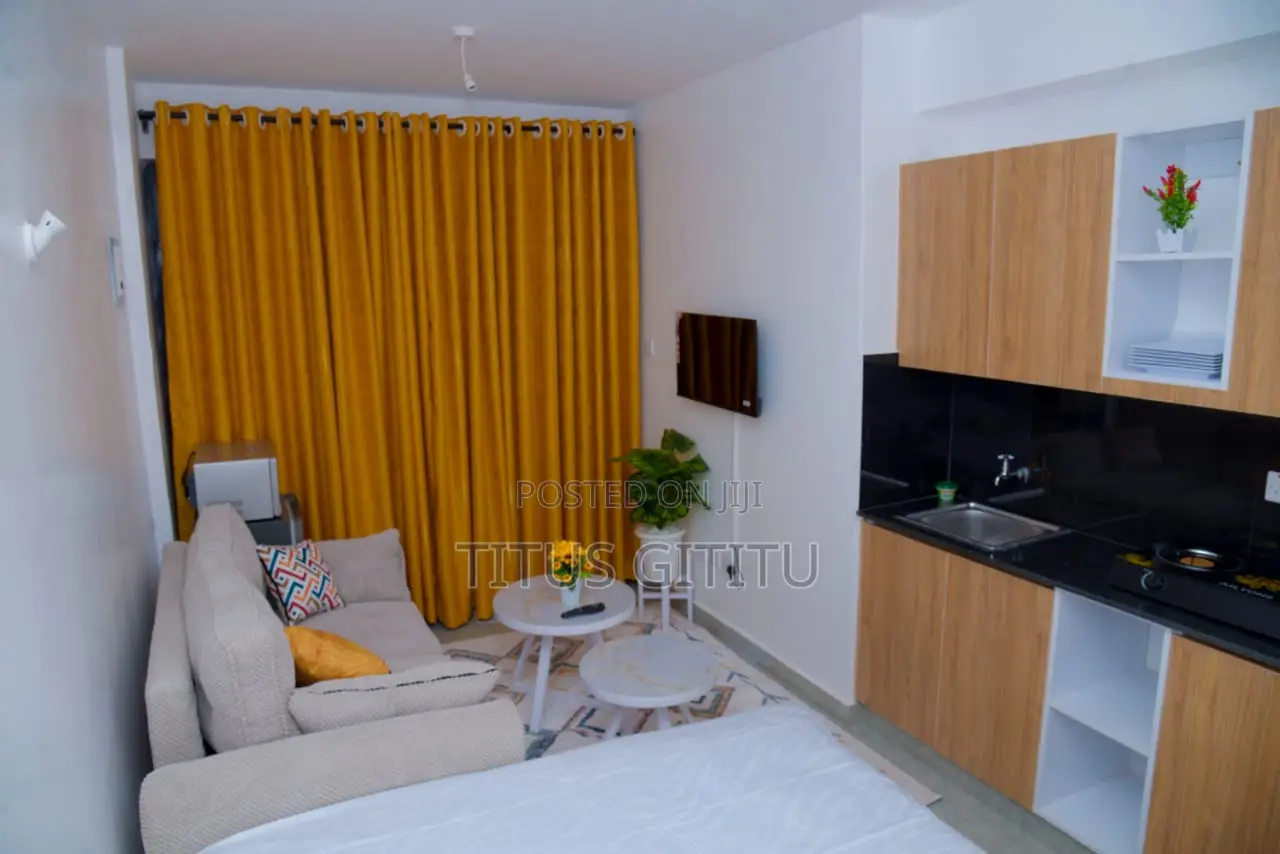 Studio Airbnb Near Trm, Roysambu | Furnished | Free Parking | KSH 2000