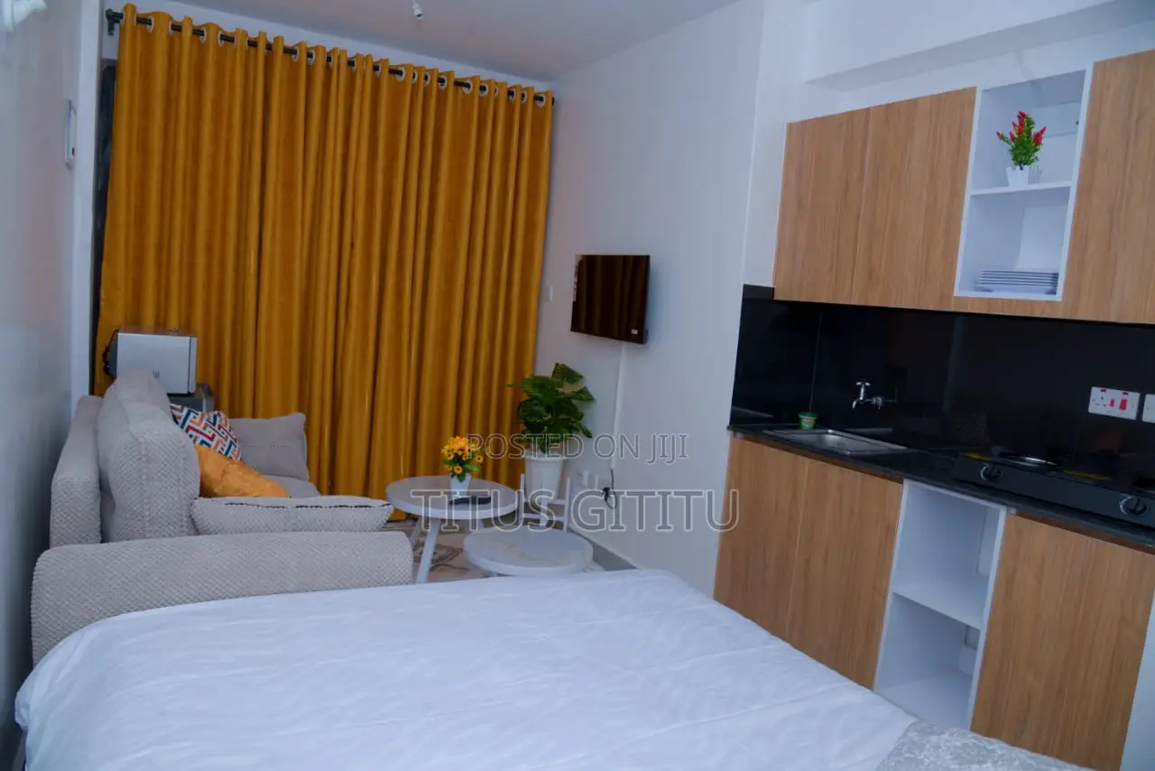 Studio Airbnb Near Trm, Roysambu | Furnished | Free Parking | KSH 2000