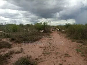 6.65 Acres at Matuu, Kangonde