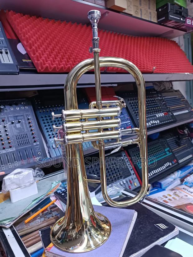 Flugel Horn Musical Instrument - main view