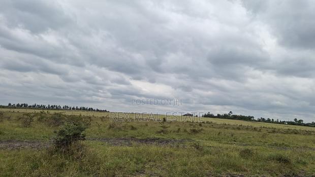 Amazing Investment Opportunity in Kitengela - main view