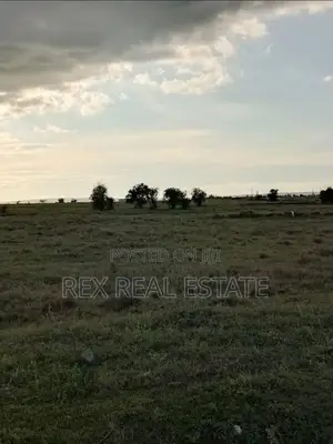 Amazing Investment Opportunity in Kitengela