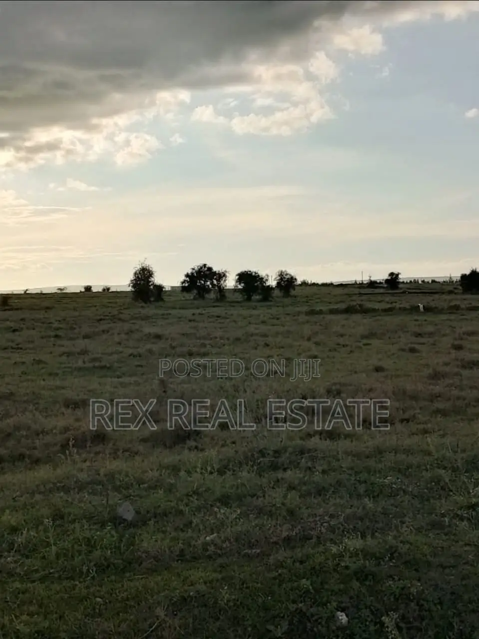 Amazing Investment Opportunity in Kitengela
