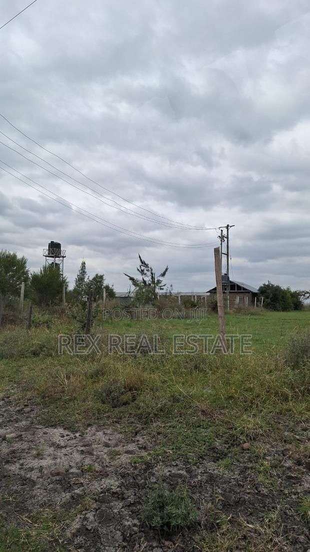 Amazing Investment Opportunity in Kitengela - thumbnail 5