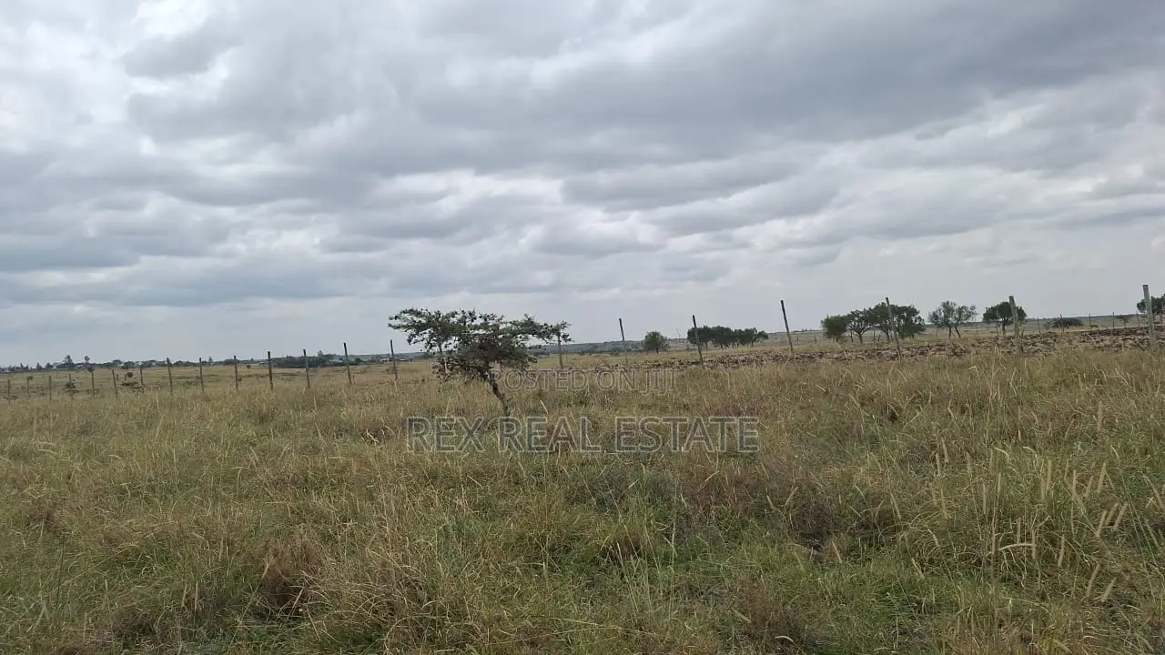 Amazing Investment Opportunity in Kitengela