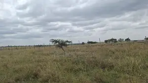 Amazing Investment Opportunity in Kitengela