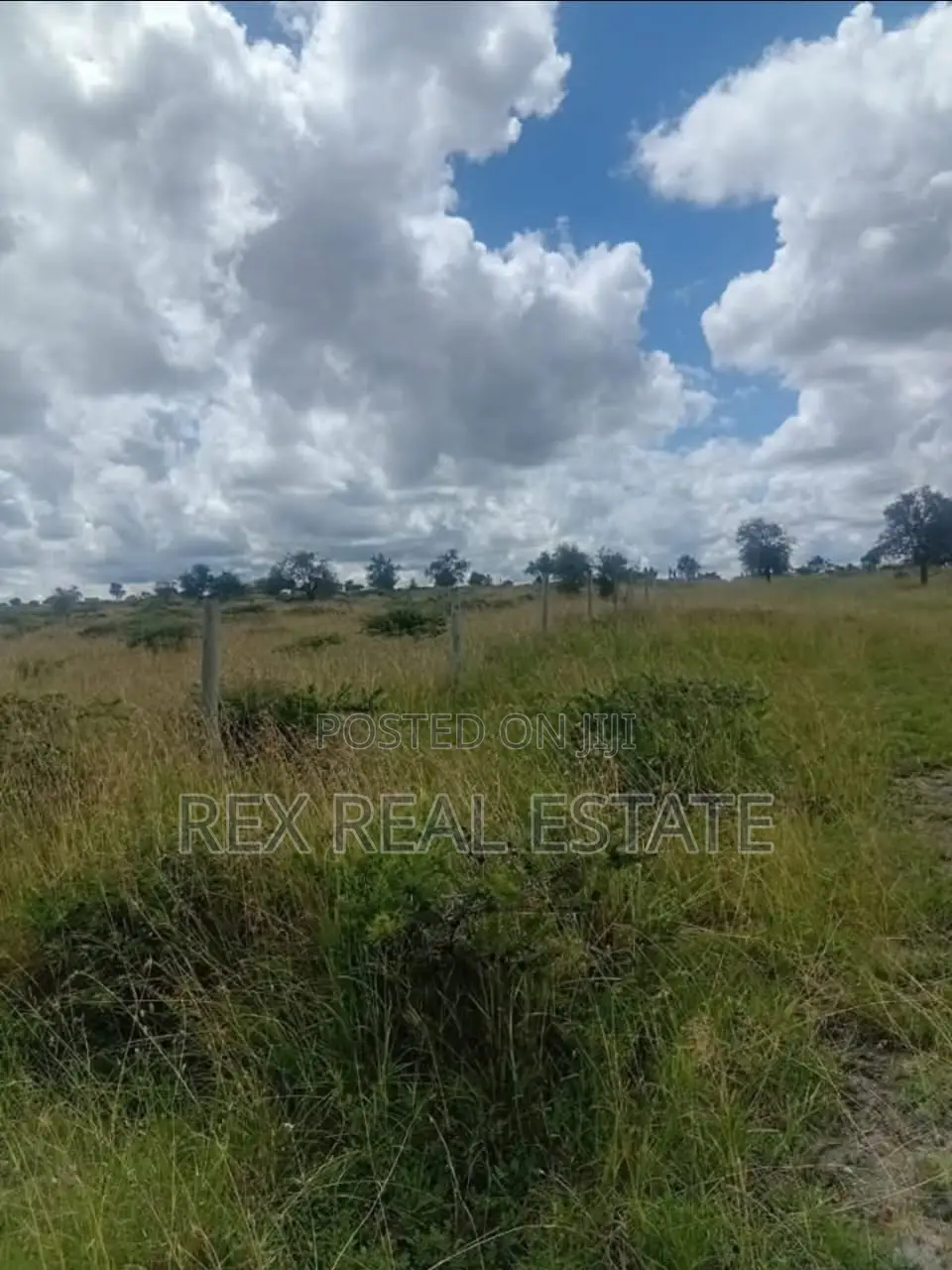 Amazing Investment Opportunity in Kitengela