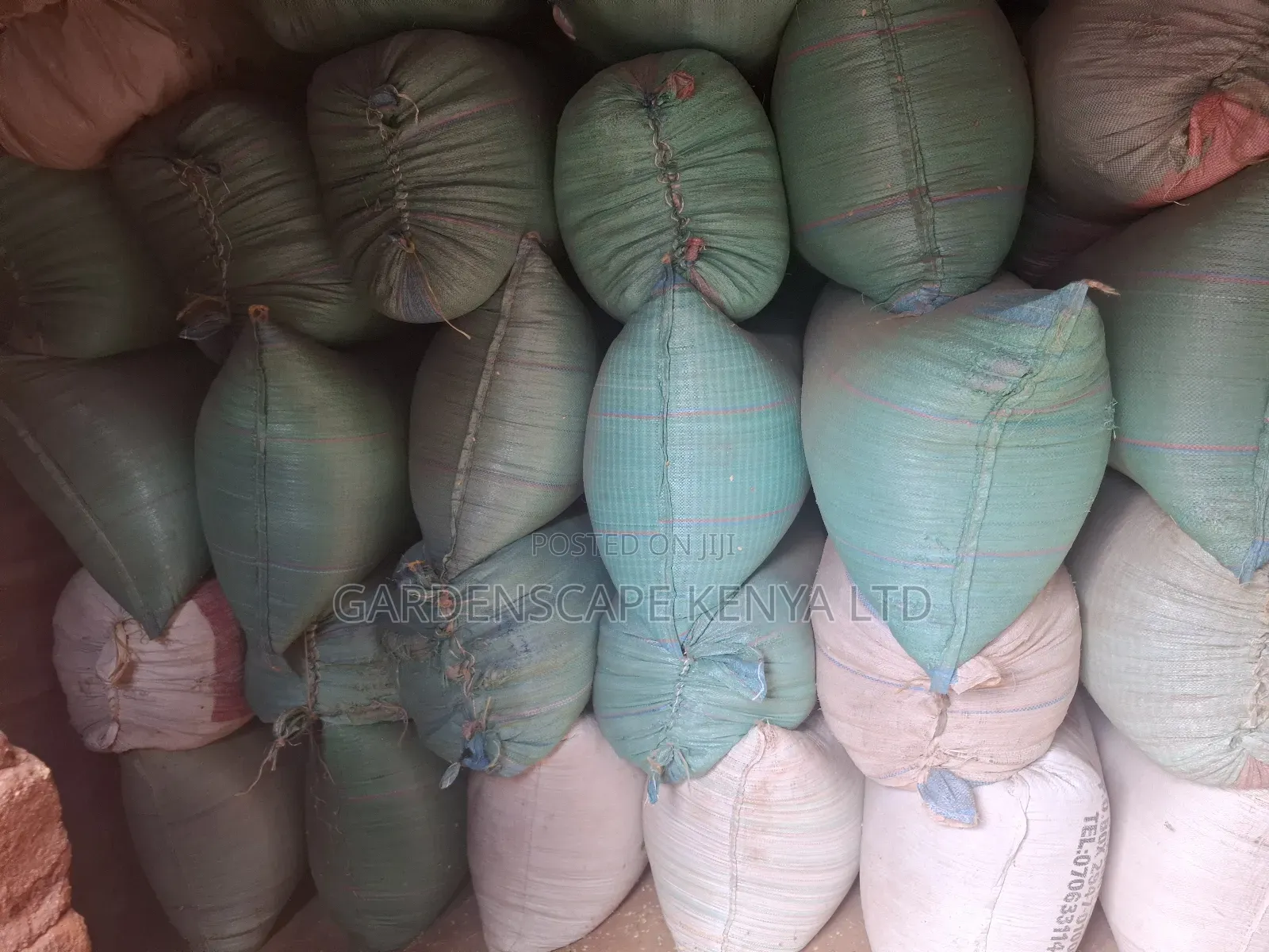 Boma Rhodes Seeds Moq 10kgs
