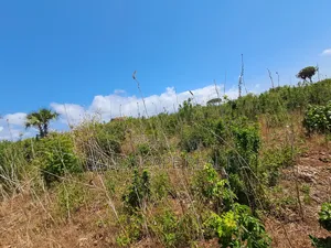Prime 0.9 Acre Plot – Galu Kinondo | Beach 2