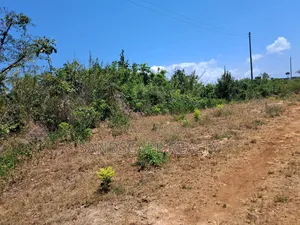 Prime 0.9 Acre Plot – Galu Kinondo | Beach 2