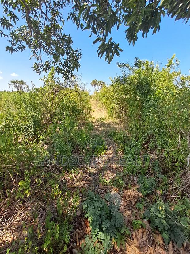 Prime 0.9 Acre Plot – Galu Kinondo | Beach 2 - thumbnail 4