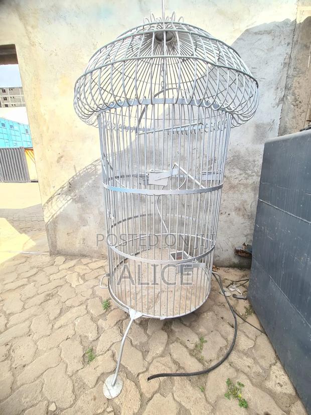 Bird Cage for Sale - main view