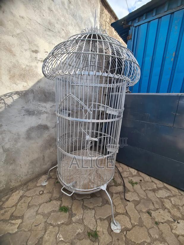Bird Cage for Sale - thumbnail 3