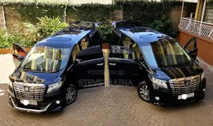 Alphard/Vellfire for Hire (Chauffeured)