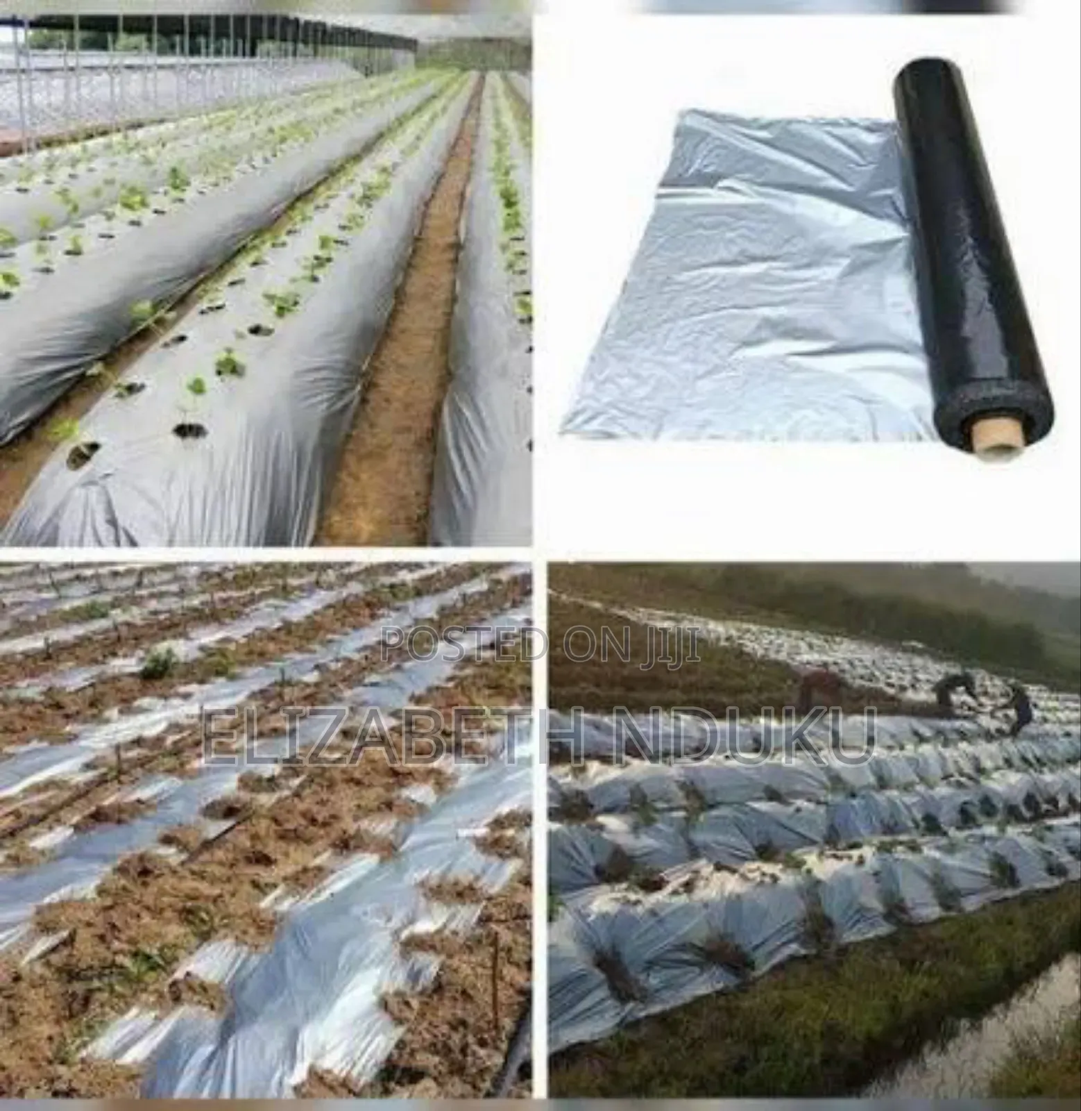 Greenhouse Mulching Polythene