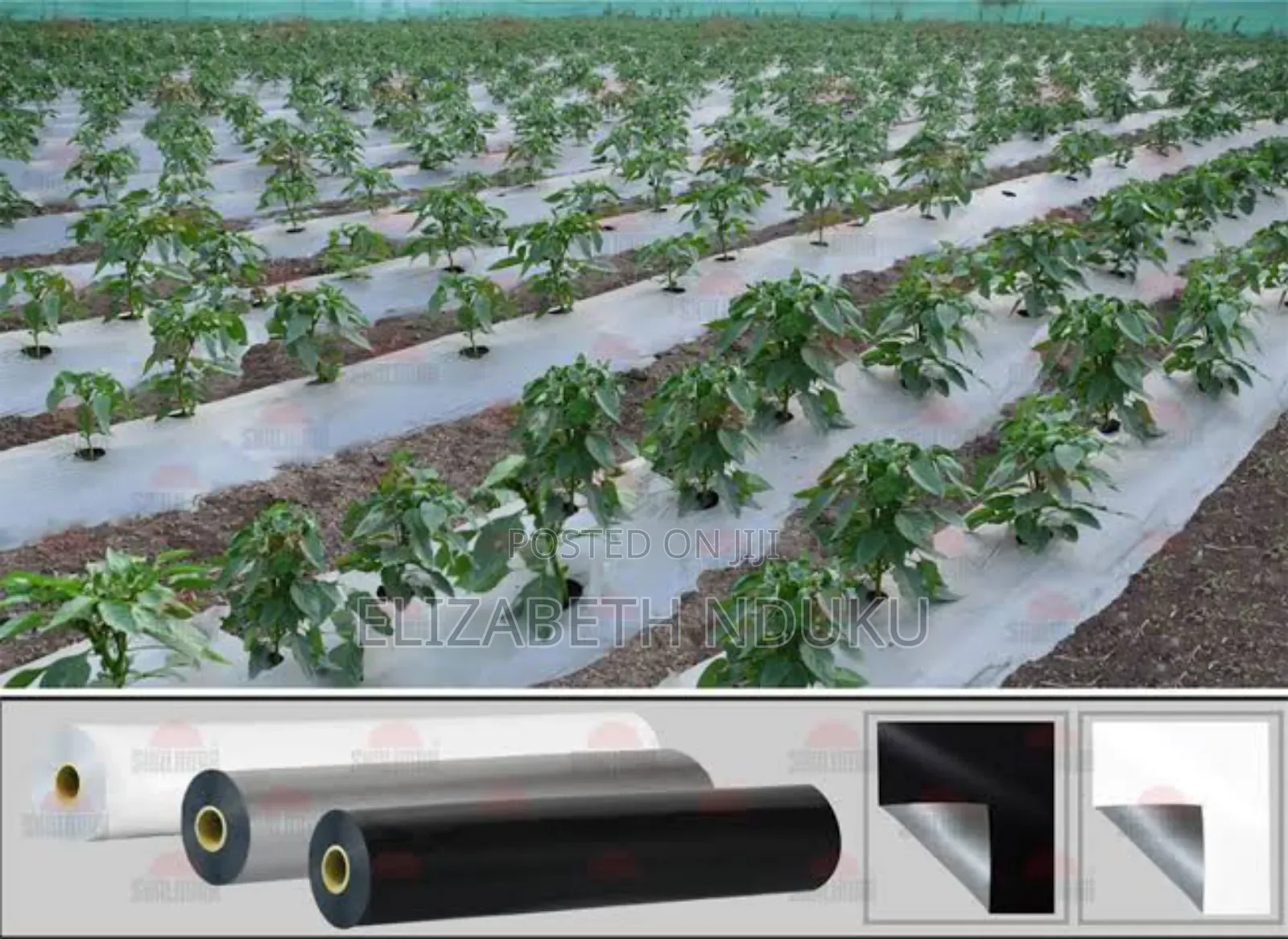 Long Lasting Mulching Polythene