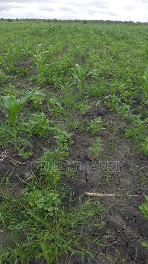 Arable Land for Sale - thumbnail 2