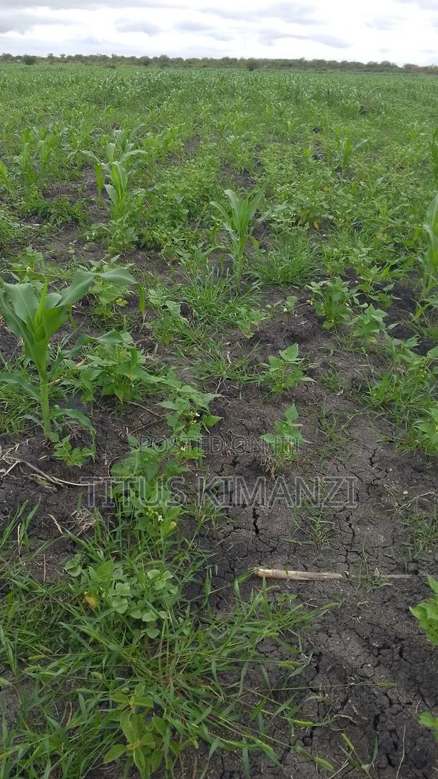 Arable Land for Sale - main view