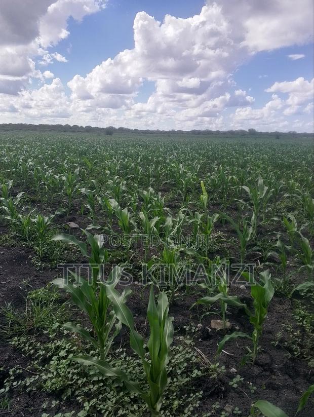 Arable Land for Sale - thumbnail 3