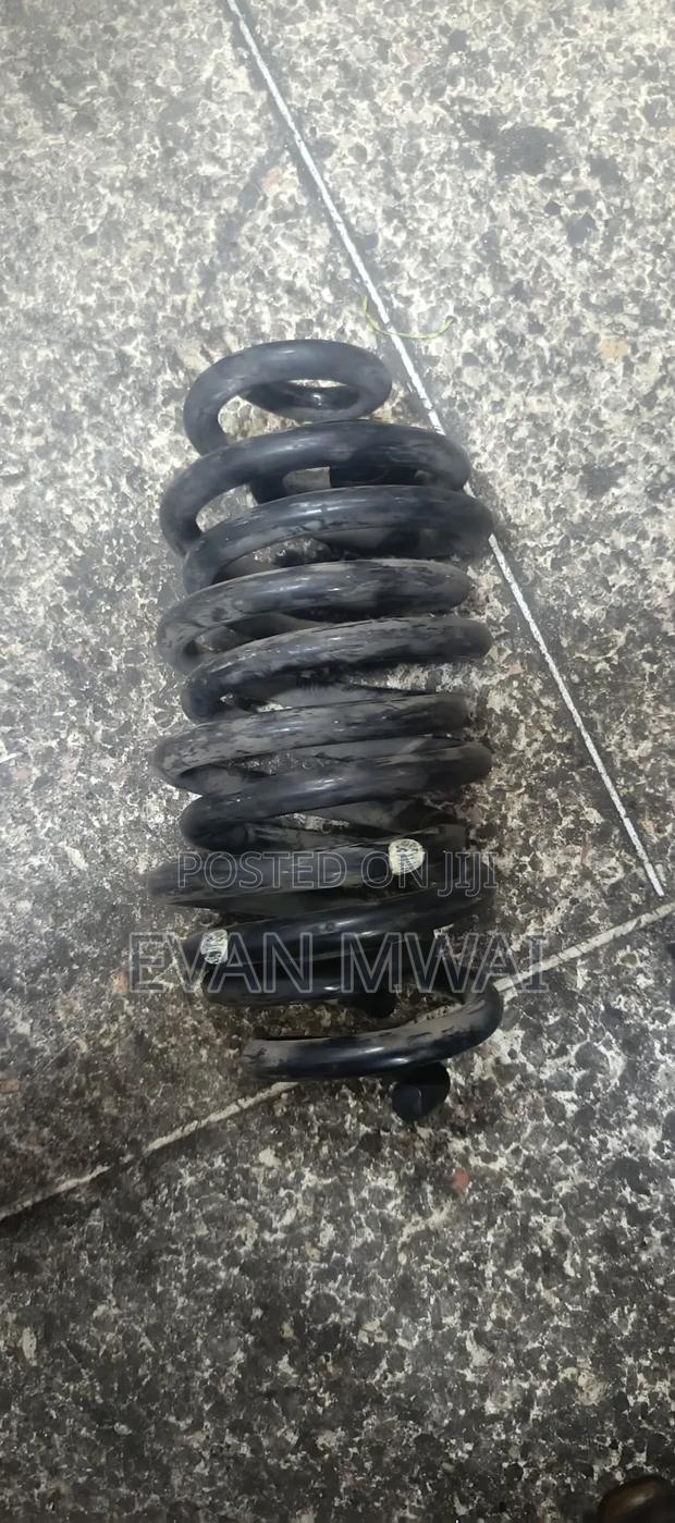 Probox Commercial Heavy Duty Pairs Spring - main view