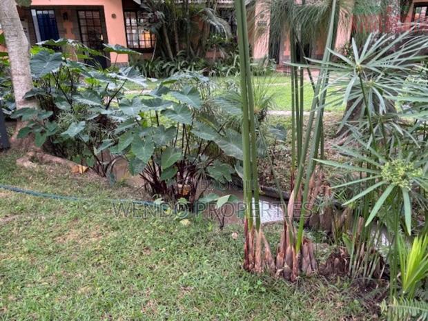 Commercial Space - thumbnail 4