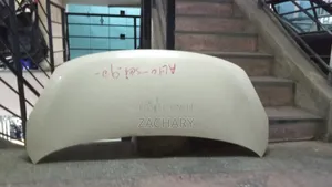 Suzuki Alto 2012 Bonnet