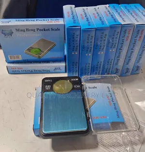 Affordable Big Pocket Weigh Scale