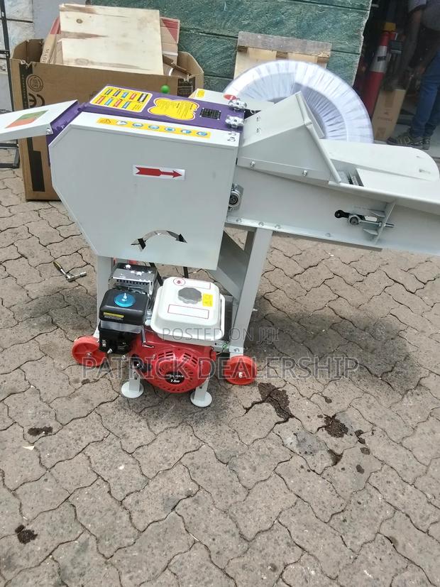 Electric Driven High Speed Chaff Cutter - main view