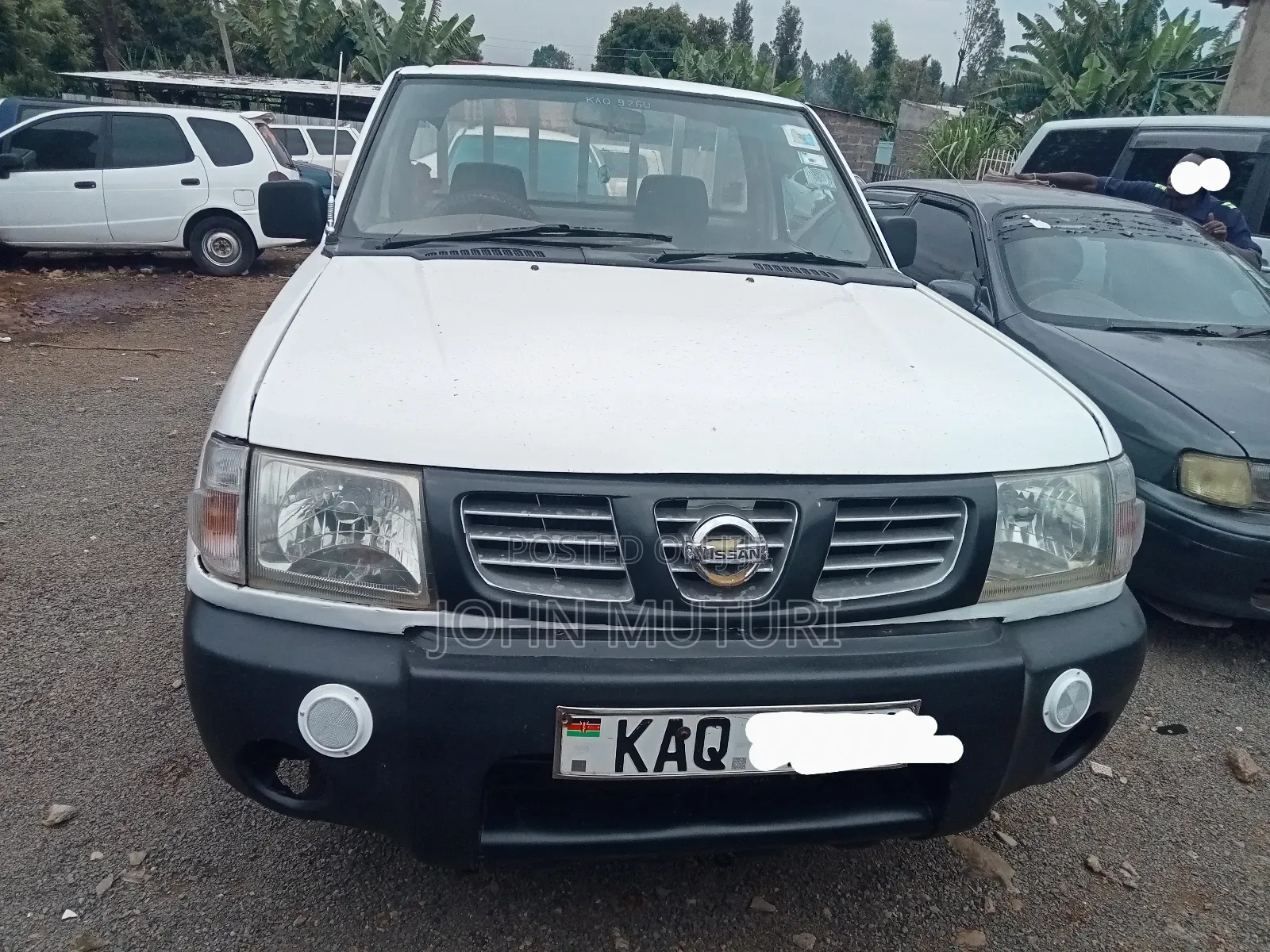 Nissan Hardbody 2005 White