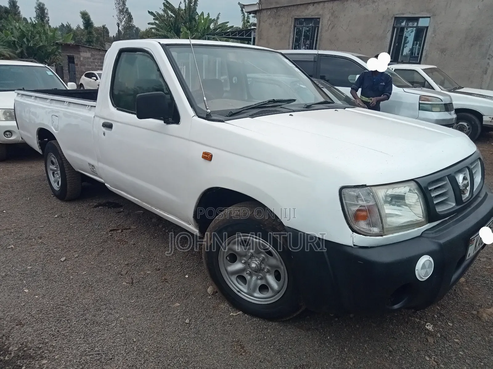 Nissan Hardbody 2005 White