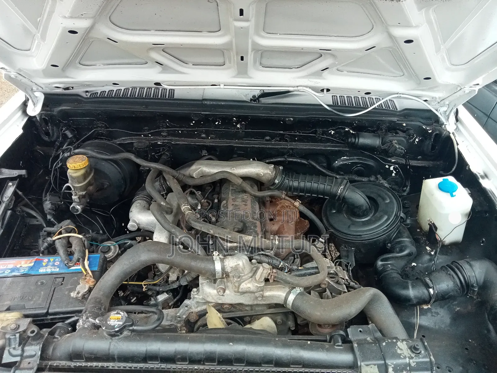 Nissan Hardbody 2005 White