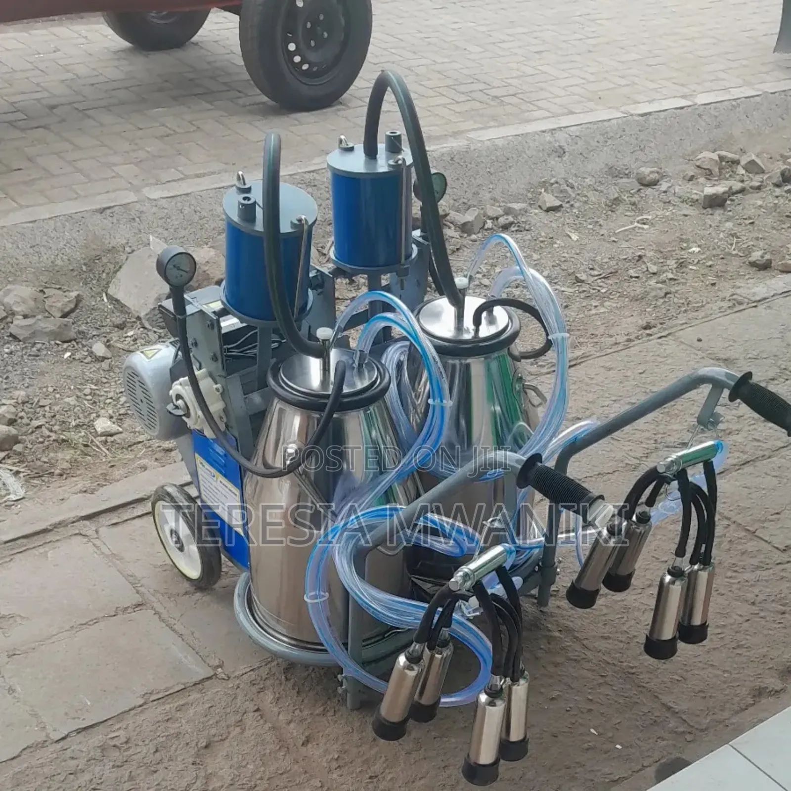 Two Buckets Milking  Machine