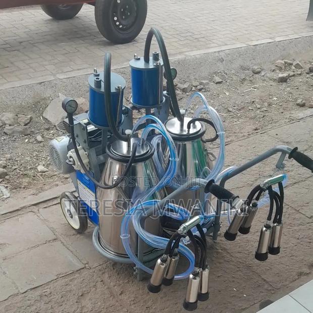 Two Buckets Milking Machine