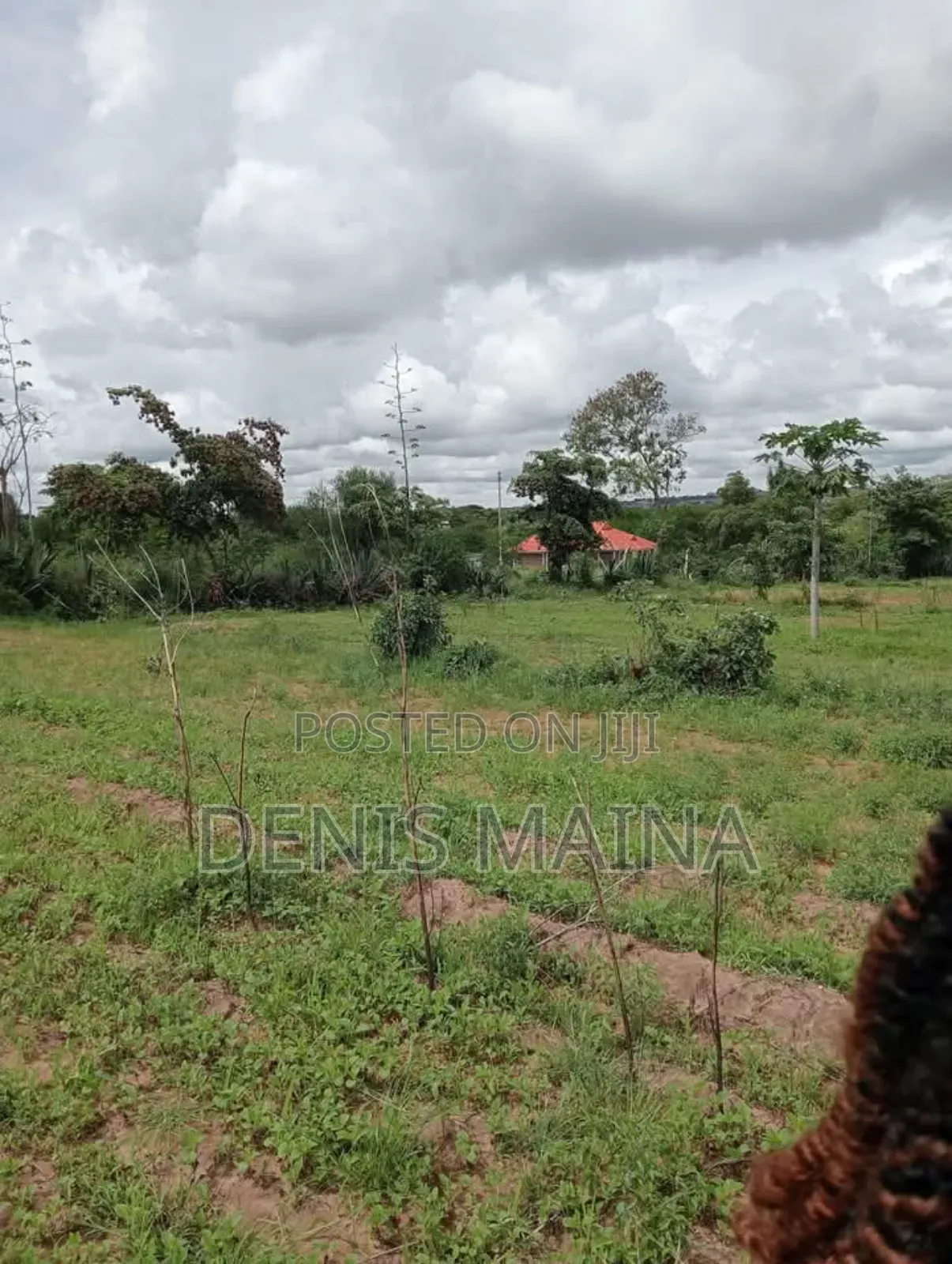 Plot for Sale in Matuu