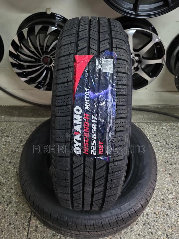 225/65r17 Dynamo Tire All-Terrain - main view