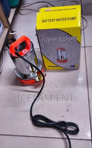 Dc Battery Submersible Pump/24v Submersible Pump - thumbnail 2