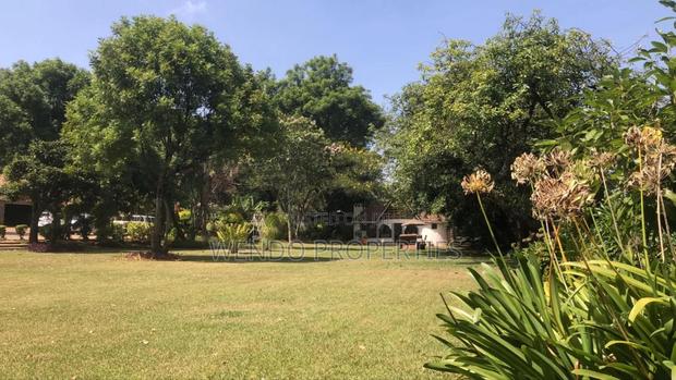 Furnished 2bdrm House in Karen for rent - thumbnail 11