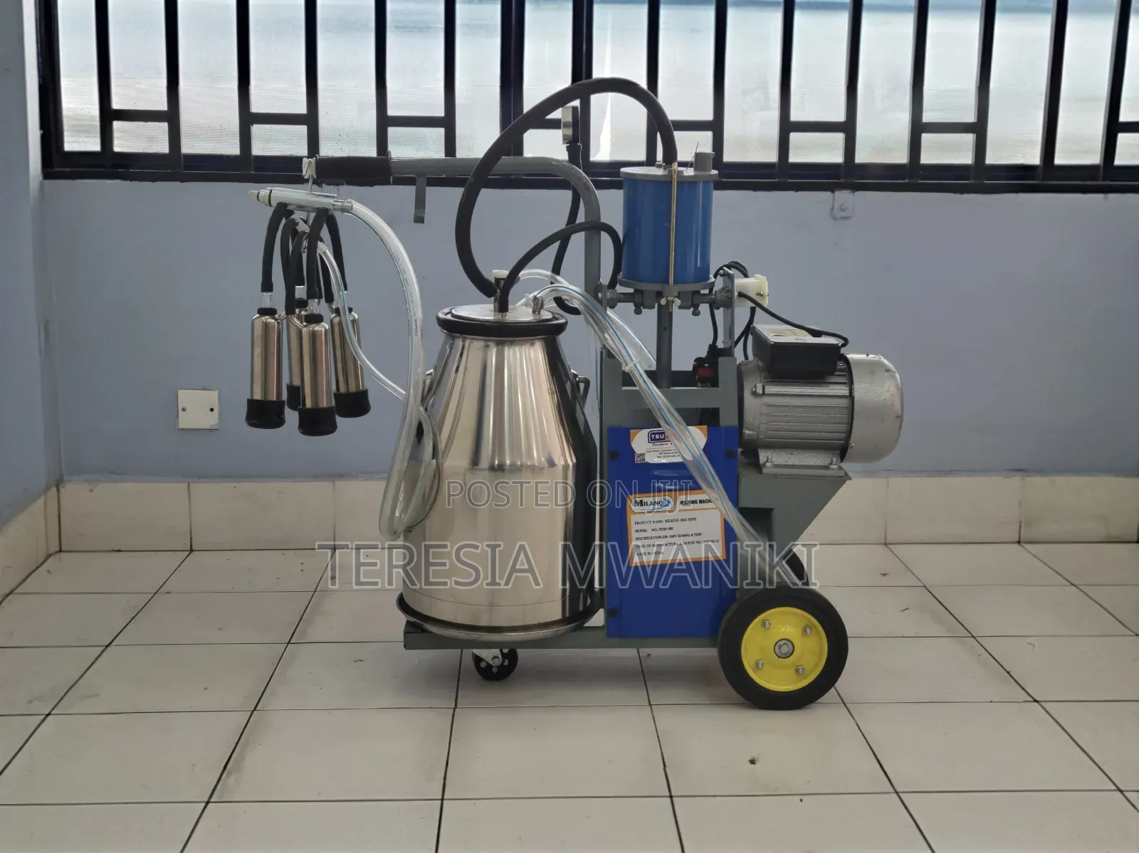 Italian Cow Milking Machine / Electric