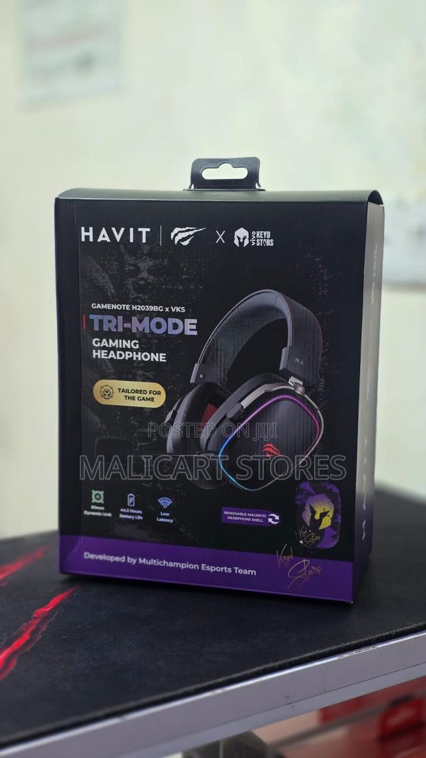 Havit H2039bg Tri-Mode Gaming Headphone, With RGB Magnetic Ear Shell - main view
