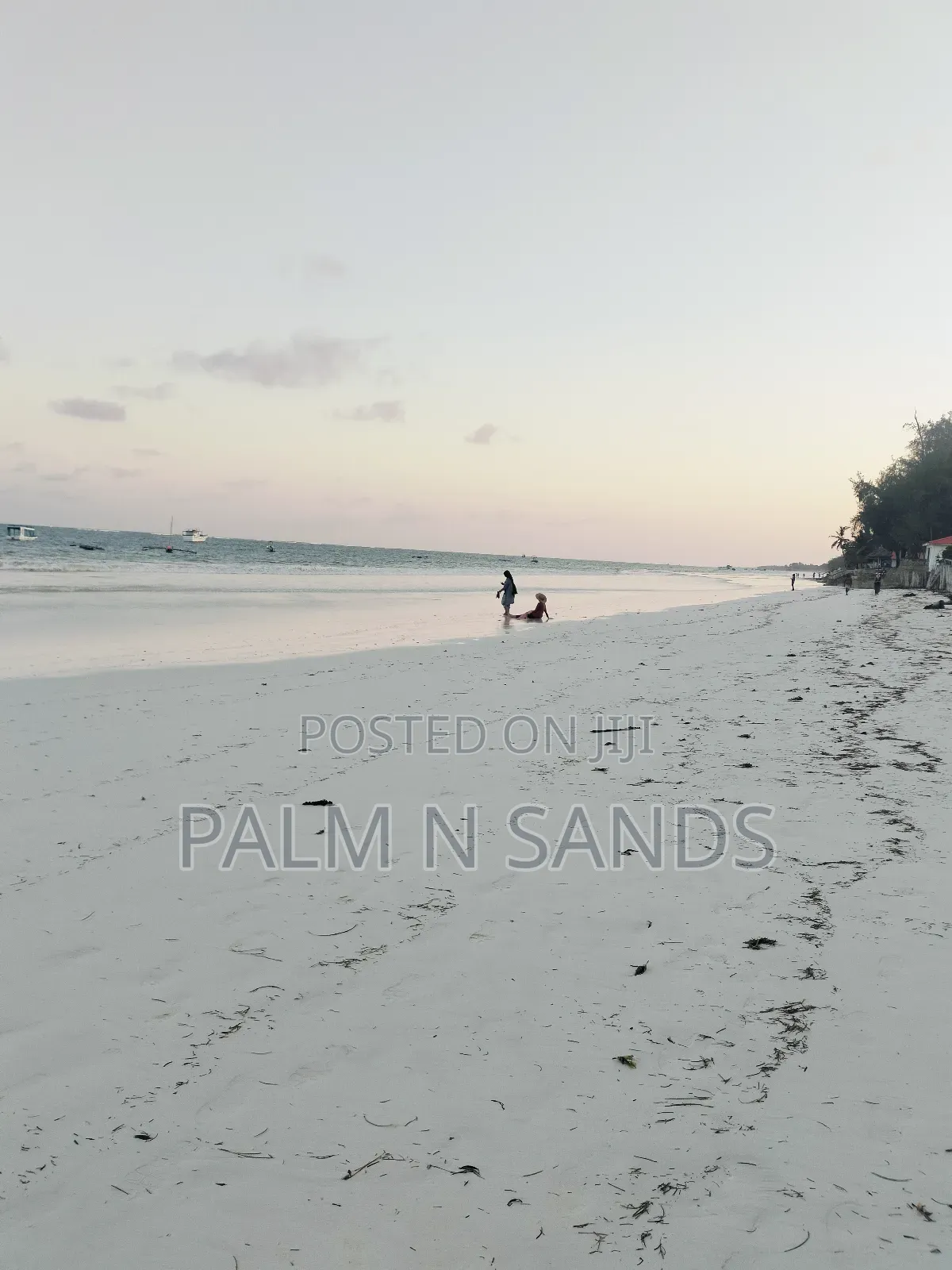 Quarter Acre Plot for Sale in Galu, Diani