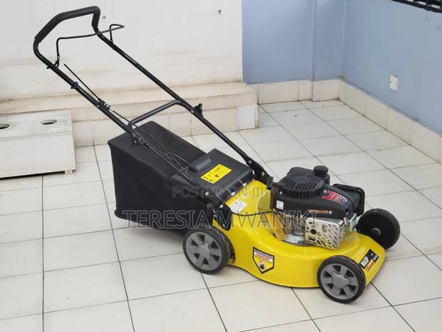 Wasp 139cc Lawn Mower